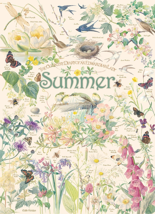 Country Diary: Summer, Edith Holden