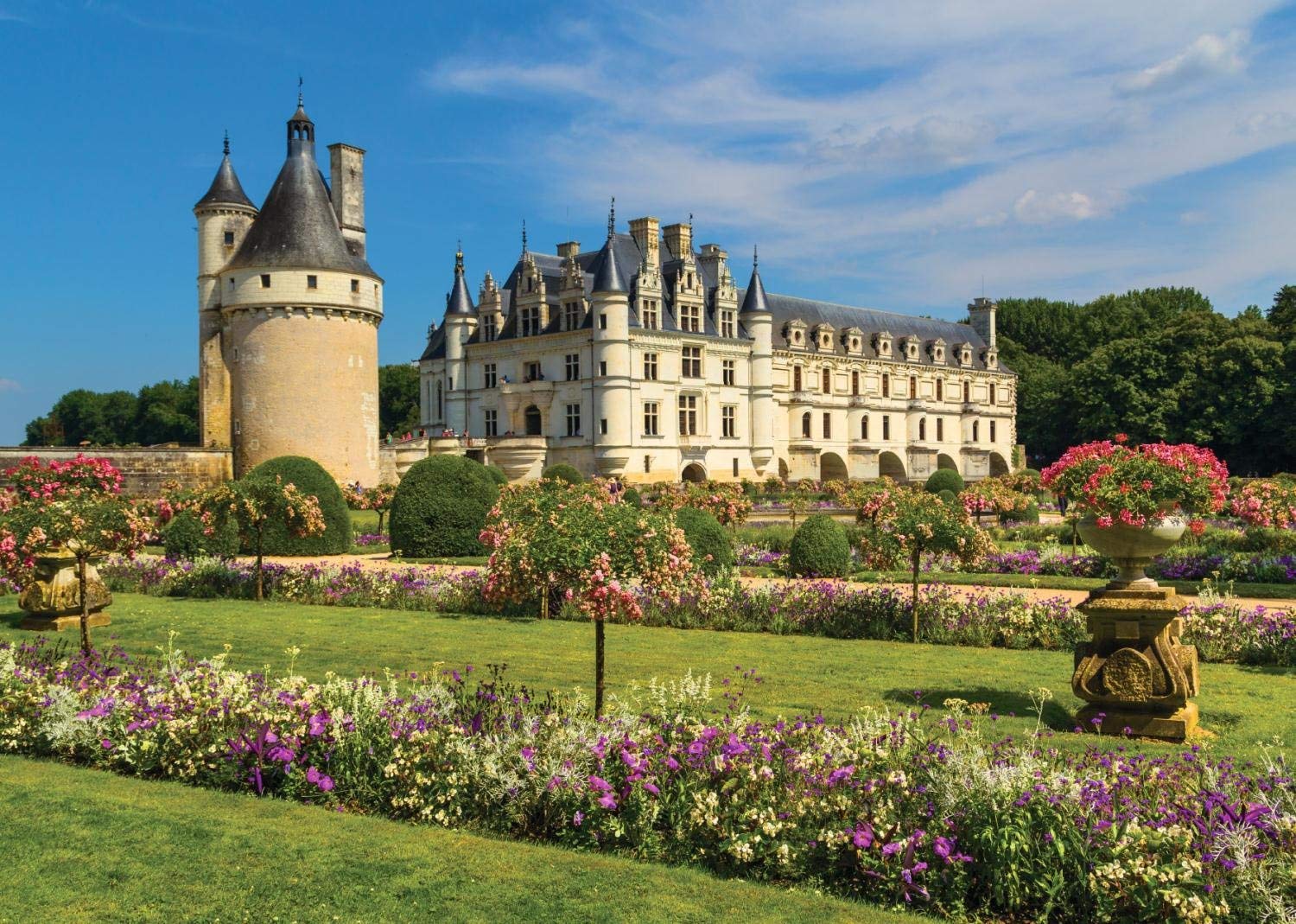 Château dans la Loire (1000pcs)