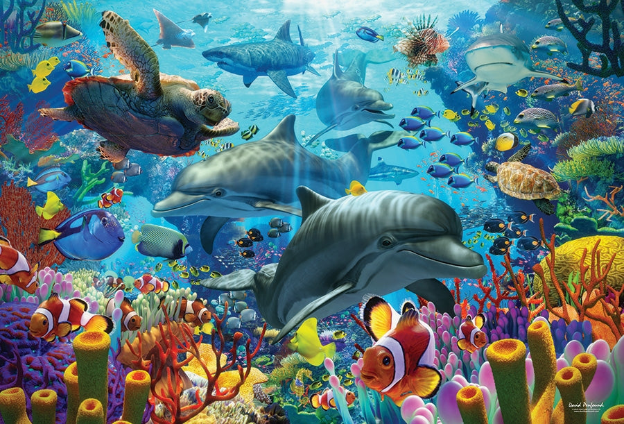 Mer de corail, David Penfound