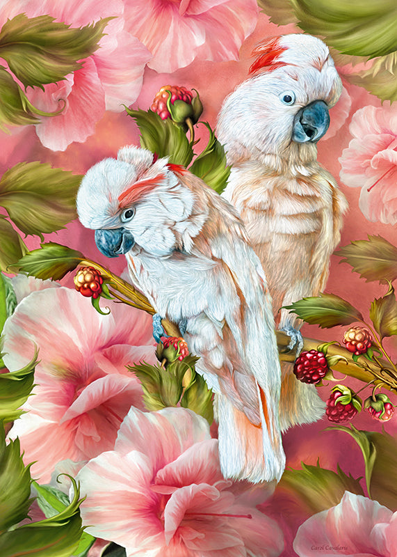 Spiritueux tropics-cockatoo (1000pcs)