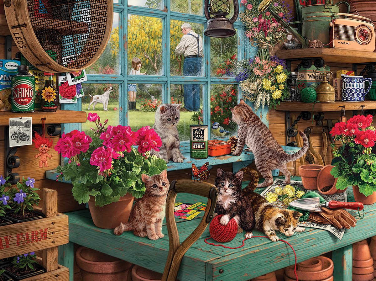 Chatons curieux, Steve Read