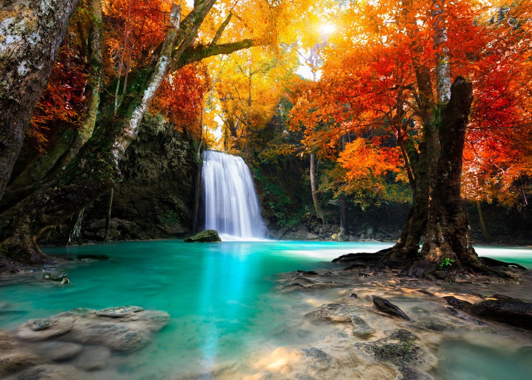 DMG Deep Forest Waterfall (500pcs) (boîte endommagée)