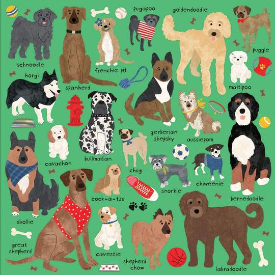 Chien doodle et autres races mixtes