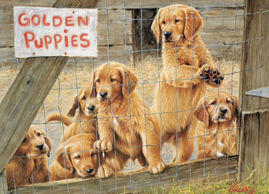 Chiots dorés, Jim Killen