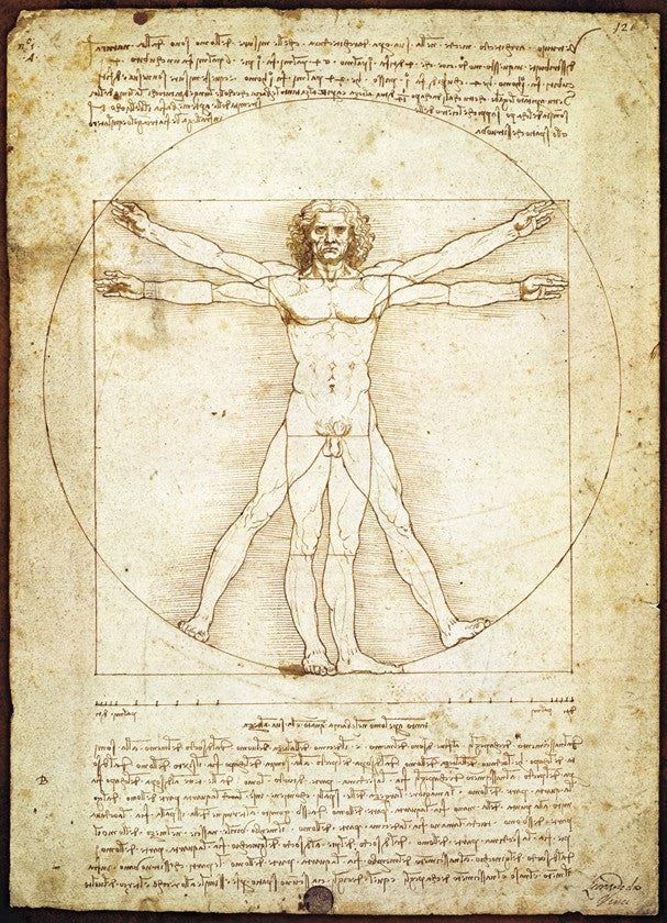 PFG L'Homme de Vitruve, Léonard de Vinci (Utilisation - PUZZLES FOR GOOD)