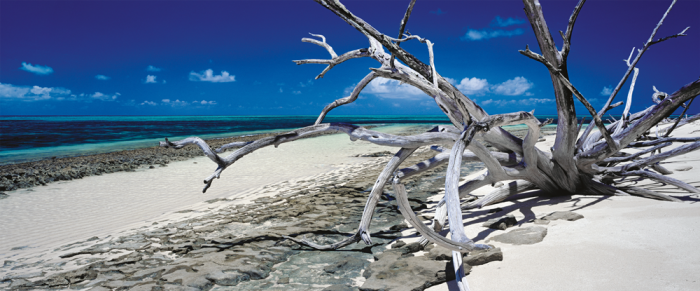 Green Island - Queensland, Australia (Panoramic) 136 pcs