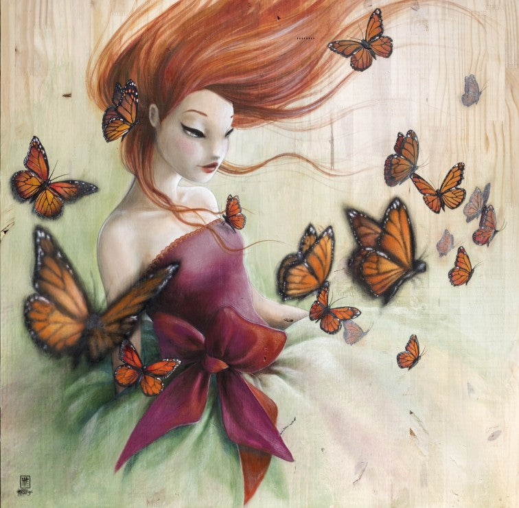 Misstigri - papillons (1000pcs)