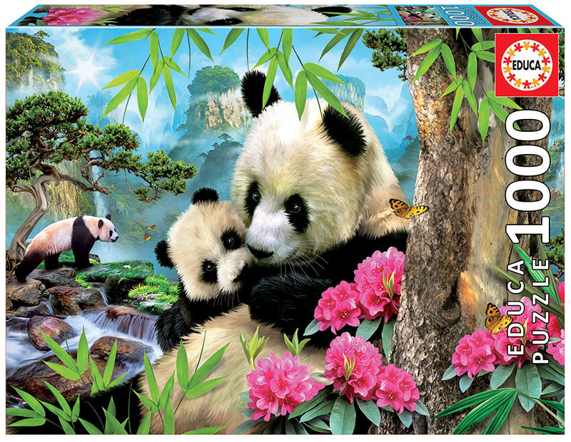 Panda du matin, Howard Robinson