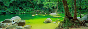 Mossman Gorge - Queensland Australia (Panoramic)