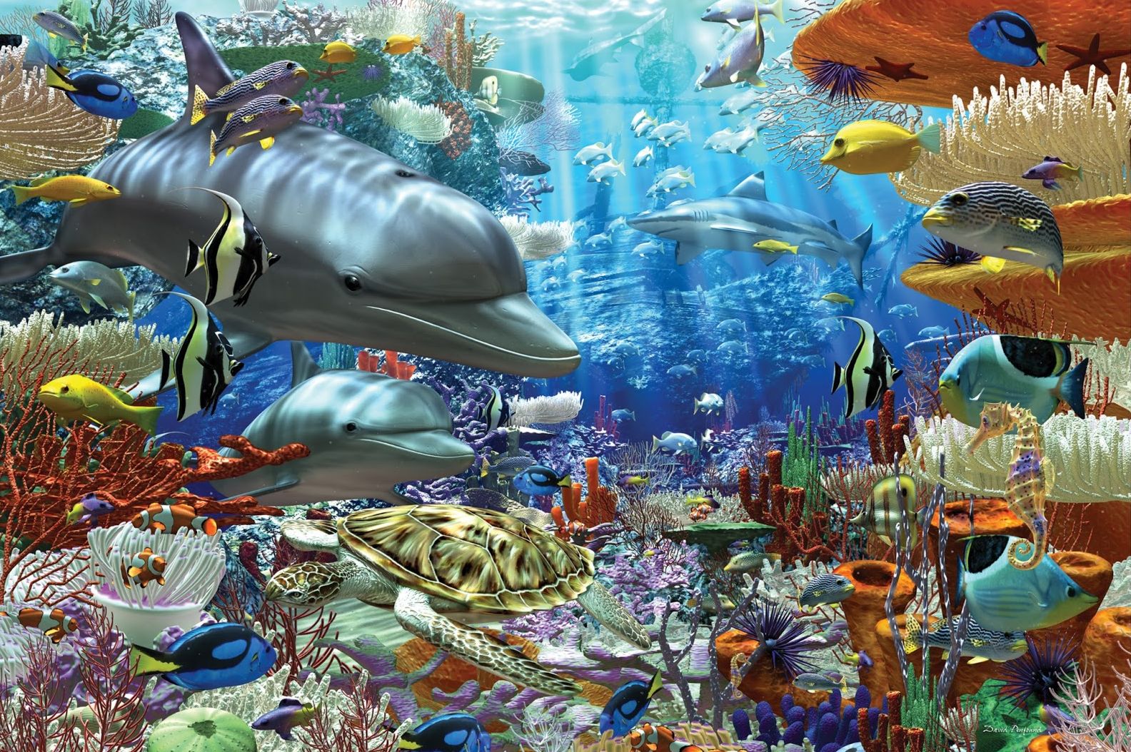 Ravensburger Oceanic Wonders, David Penfound (3000pcs)