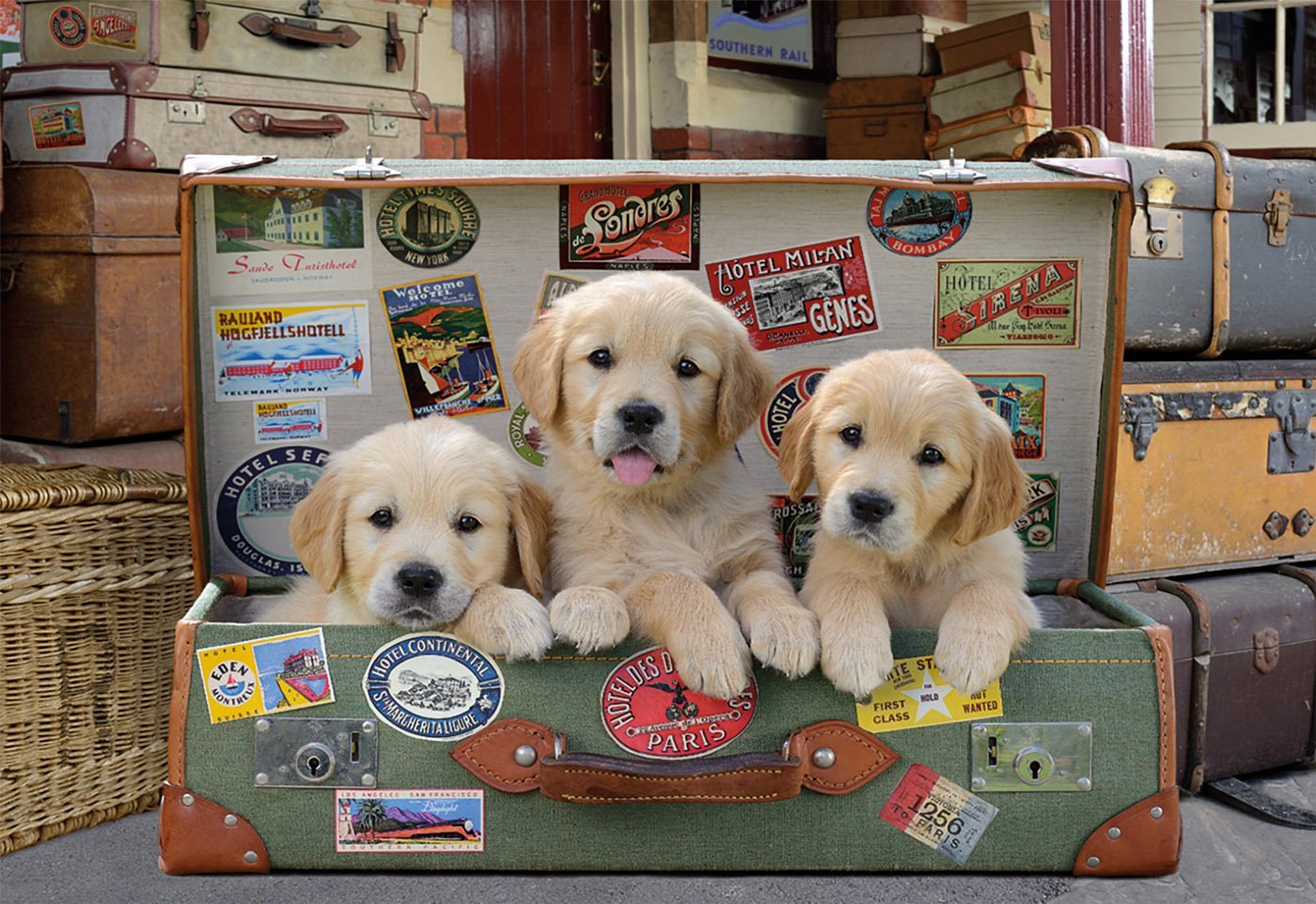 Puppies in the Luggage, Greg Cuddiford (500 pcs)