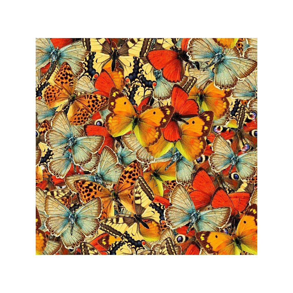 Papillons papillons papillons! (1000pcs)