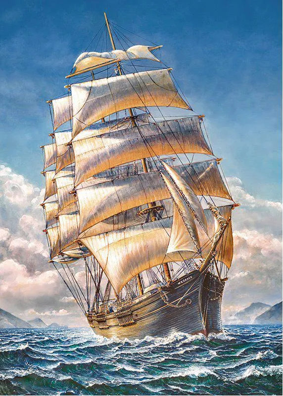 Naviguer dans le WR Grace (1000pcs)