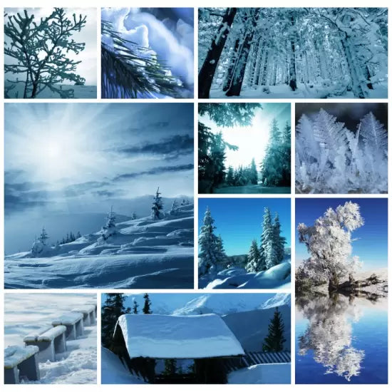Collage - hiver (1000pcs)