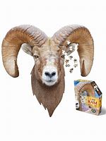 Je suis Ram (550pcs)
