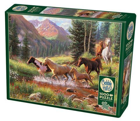 Mountain Thunder