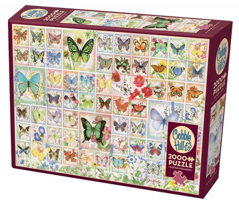 Butterflies and Blossoms, Jane Shasky