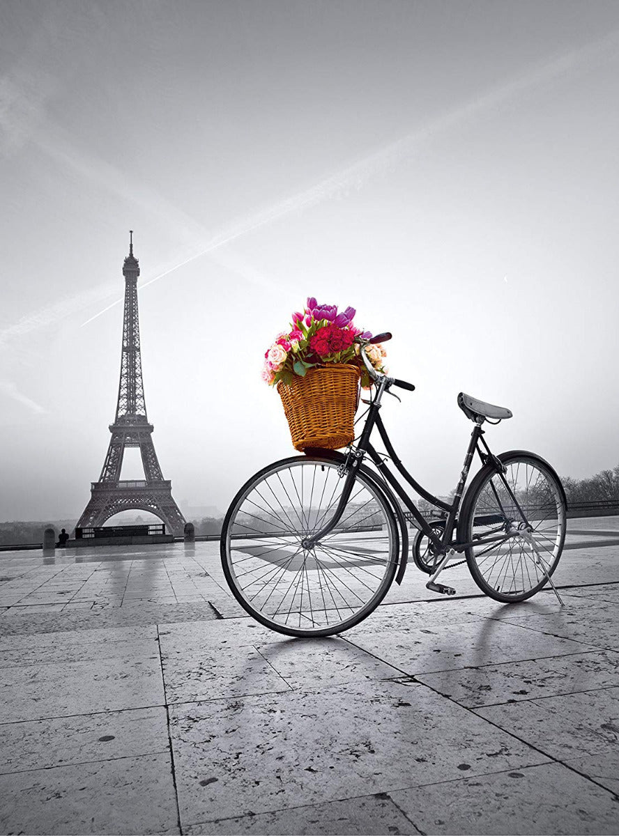 Promenade romantique à Paris