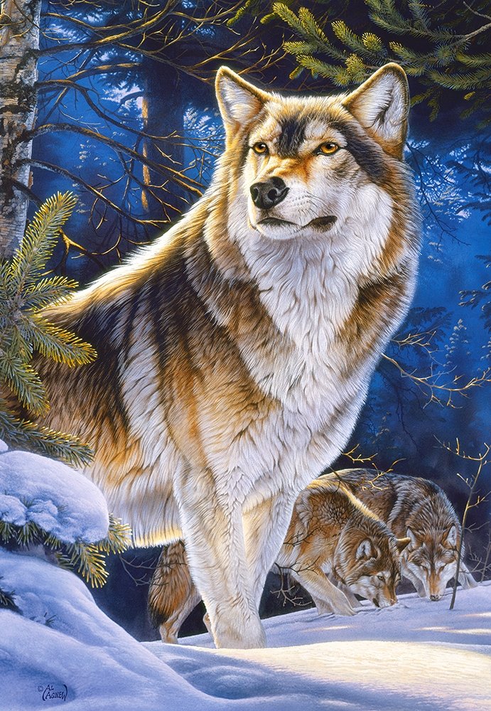 Sentinel, Al Agnew