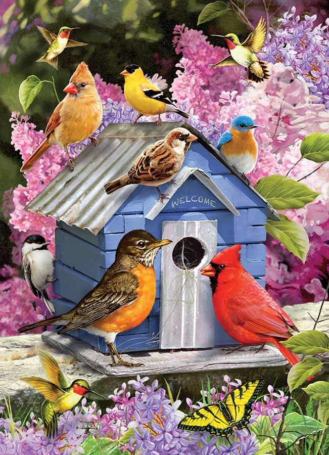 Birgin de printemps, Greg Giordano