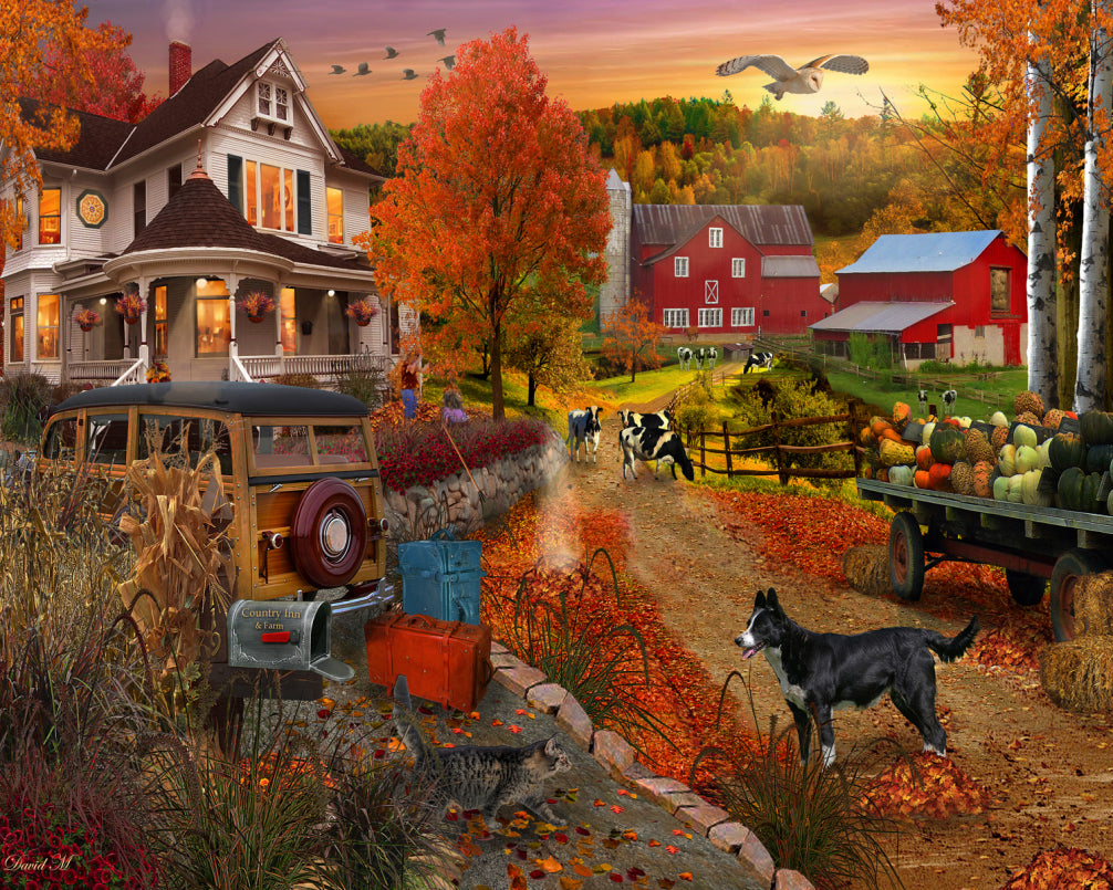 Country Inn & Farm , David Maclean