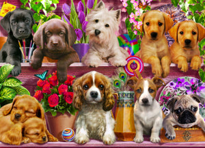 Chiots à gogo, Adrian Chesterman