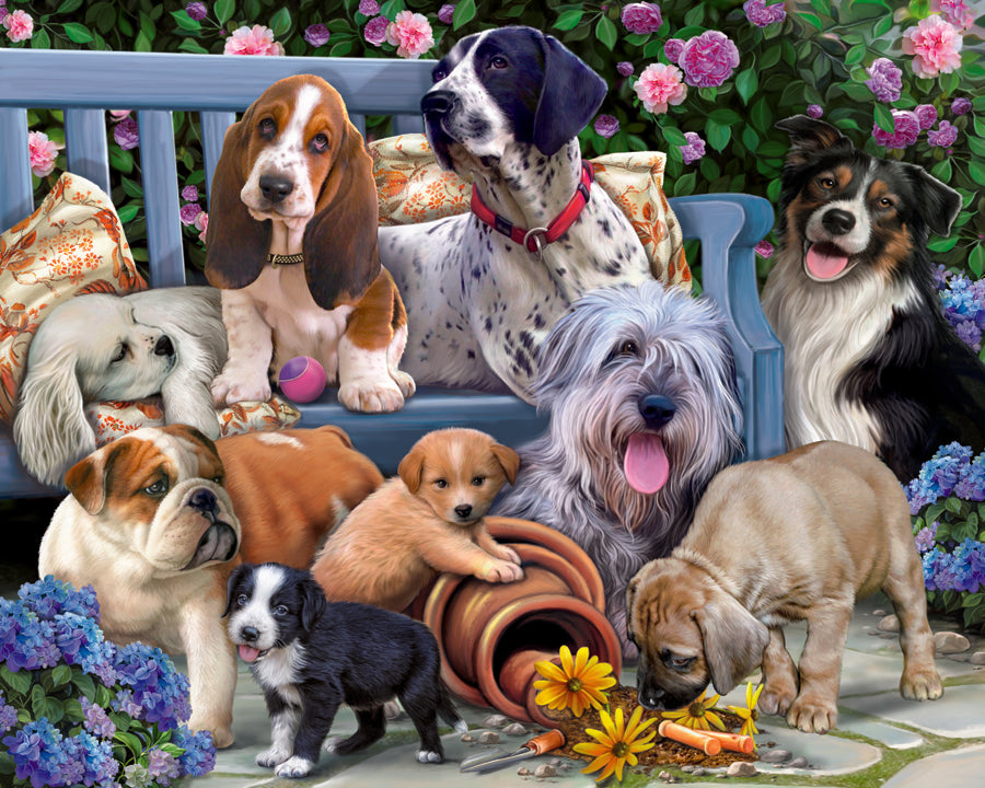 Chiens sur un banc - iroma360.com