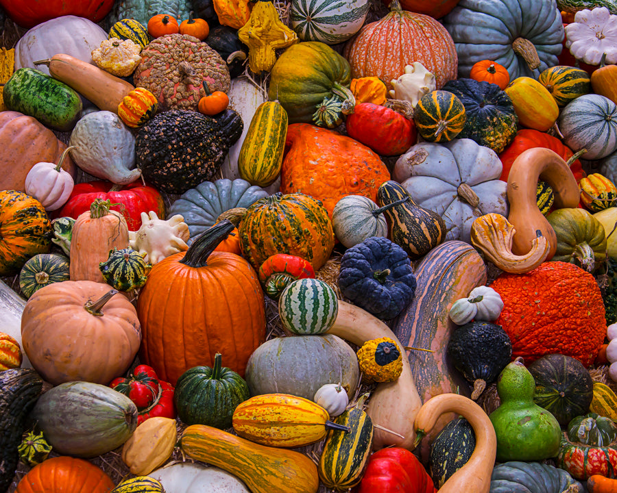 Récolte d'automne - iroma360.com