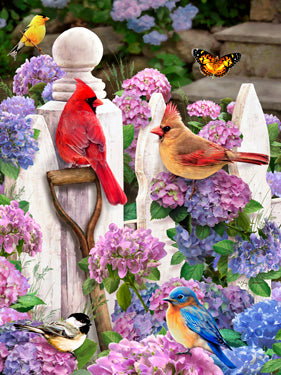 Cardinals et amis