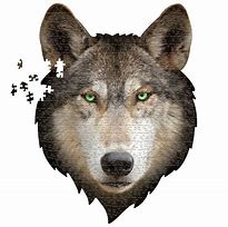 Je suis loup (550pcs)