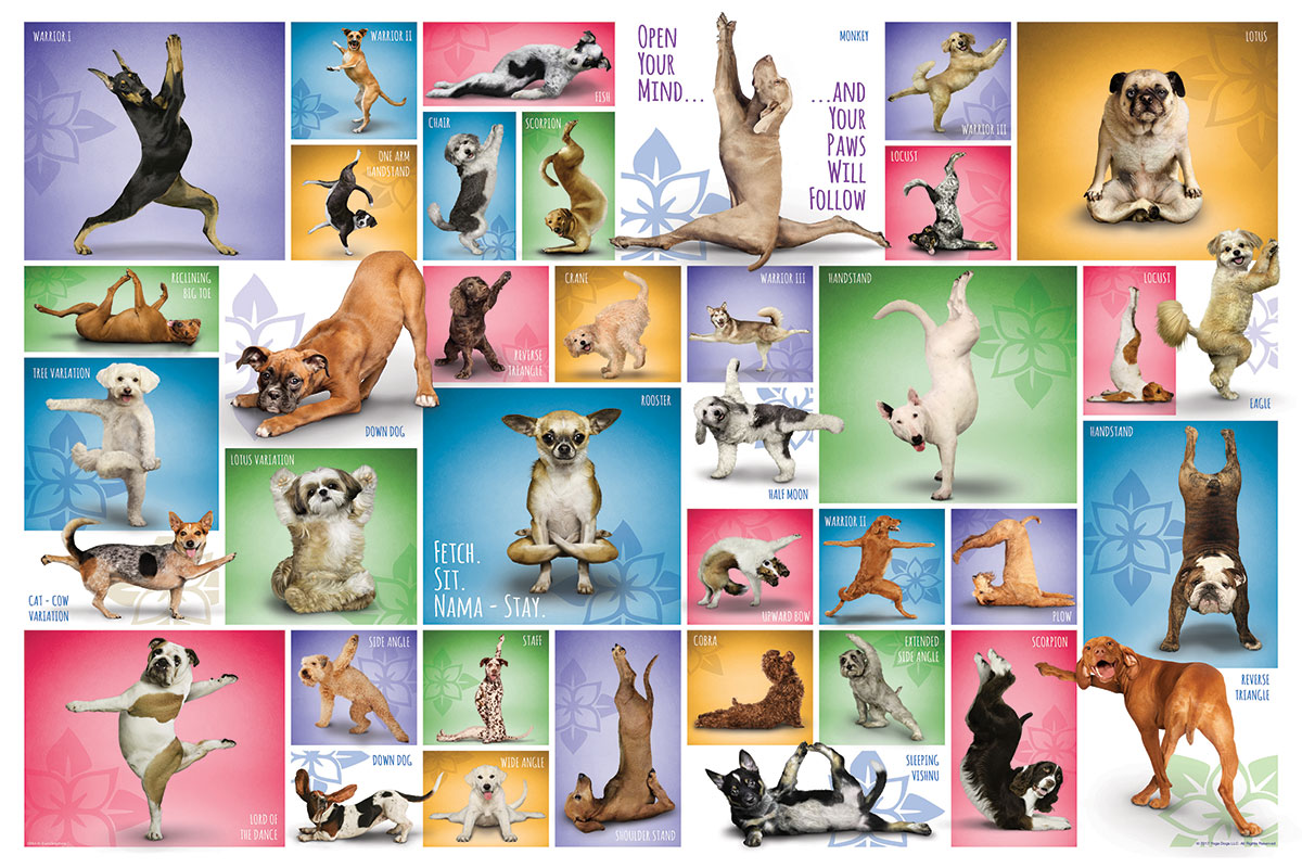 Yoga Dogs, Get In Touch With Your Inner Puppy
